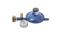 Редуктор РДСГ-1-1,3-Р с манометром Трио Сервис